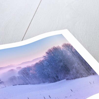 Winter landsacpe in Switzerland by Assaf Frank